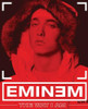 Eminem: The Way I Am