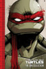 Teenage Mutant Ninja Turtles: The IDW Collection Volume 1 (TMNT IDW Collection)