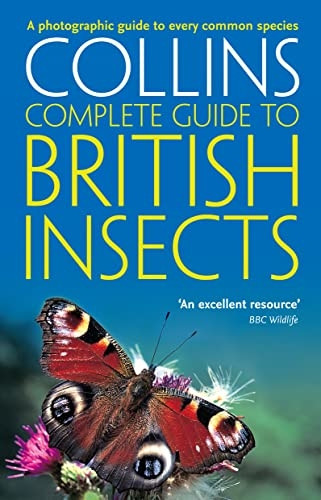 British Insects: A Photographic Guide to Every Common Species (Collins Complete Guide)