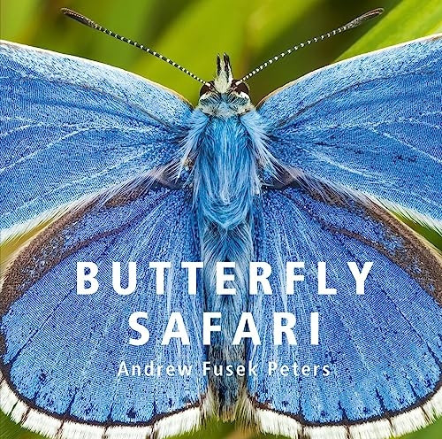 Butterfly Safari