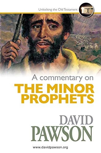 A Commentary on The Minor  - Prophets