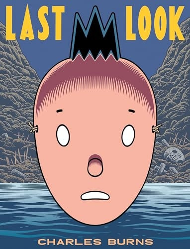 Last Look (Pantheon Graphic Novels)