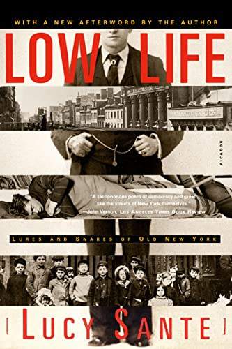 Low Life : Lures and Snares of Old New York
