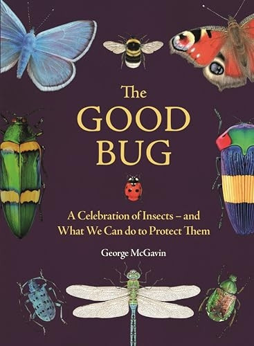 The Good Bug: A Celebration of Insects - And What We Can Do to Protect Them