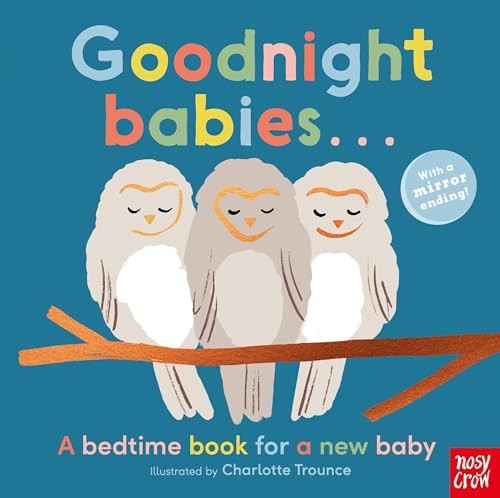 Goodnight Babies . . . (Charlotte Trounce) [Board book]