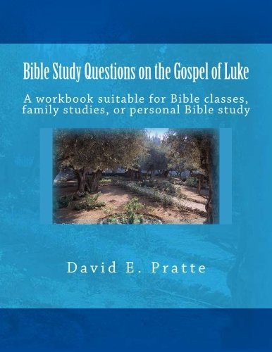 Bible Study Questions on the Gospel of Luke: A Workbook Suitable for Bible Classes, Family Studies, or Personal Bible Study