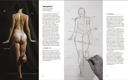 Drawing From Photos: Problem Solving & Interpretation
