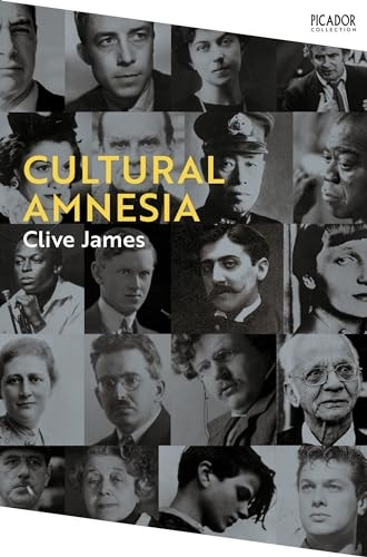 Cultural Amnesia: Notes in the Margin of My Time (Picador Collection)