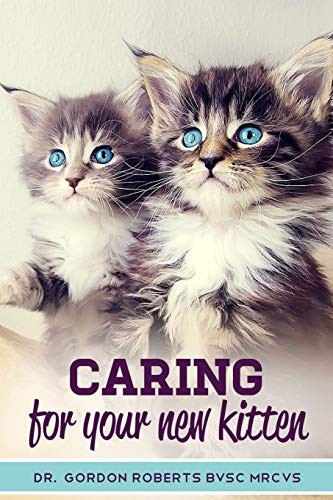 Caring for Your New Kitten: How to care for your kitten and everything you need to know to keep them well.