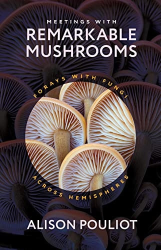 Meetings with Remarkable Mushrooms: Forays with Fungi across Hemispheres
