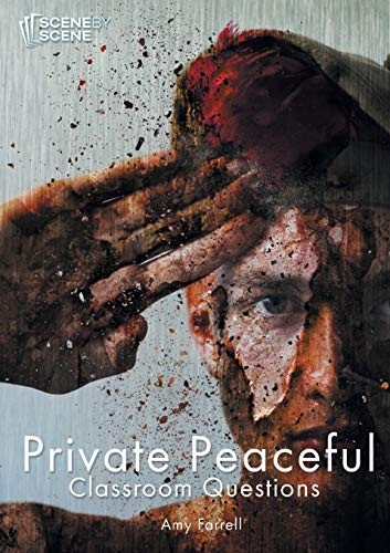 Private Peaceful Classroom  - Questions