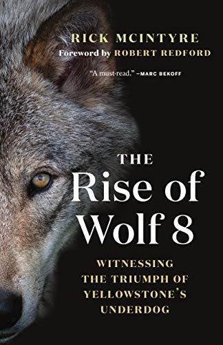 The Rise of Wolf 8: Witnessing the Triumph of Yellowstone's Underdog (The Alpha Wolves of Yellowstone)