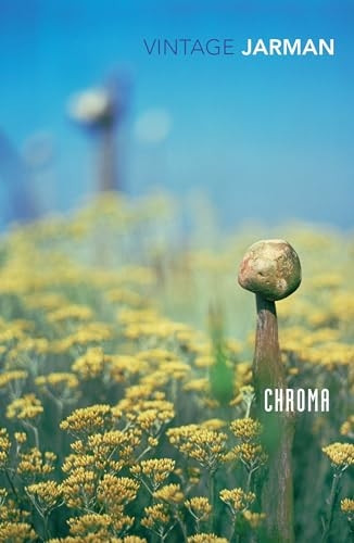 Chroma: A Book of Colour - June '93