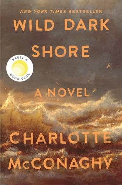Wild Dark Shore : a Novel