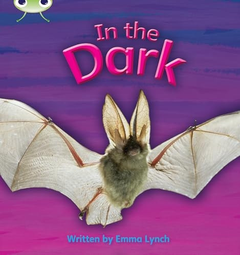 Phonics Bug: In the Dark Phase 3 (N-F)