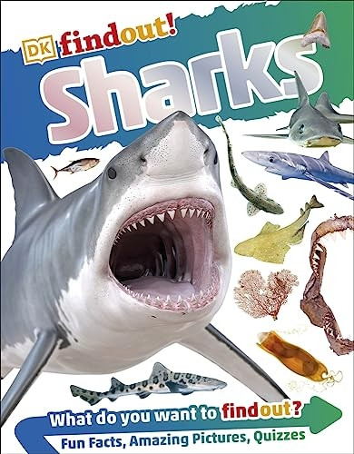 Sharks (DK Findout!)