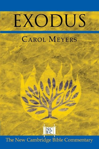 Exodus (New Cambridge Bible Commentary)