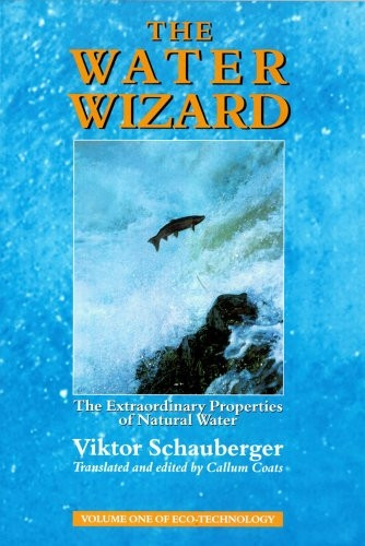 The Water Wizard: The Extraordinary Properties of Natural Water (Schauberger's Eco-technology)