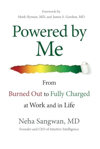 Powered by Me: From Burned Out to Fully Charged at Work and in Life