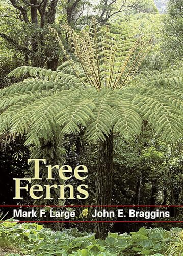 Tree Ferns
