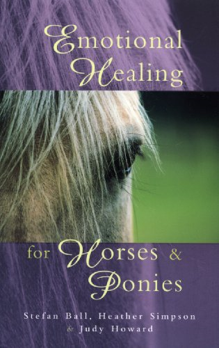 Emotional Healing for Horses and Ponies