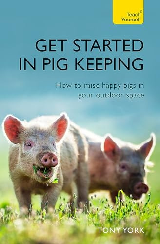 Get Started In Pig Keeping: How to raise happy pigs in your outdoor space