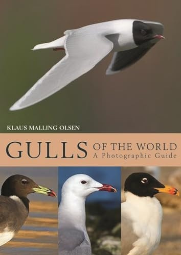 Gulls of the World: APhotographic Guide
