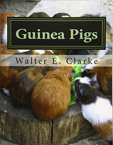 Guinea Pigs: A Practical Treatise on Their Breeding, Feeding and Management of Cavies