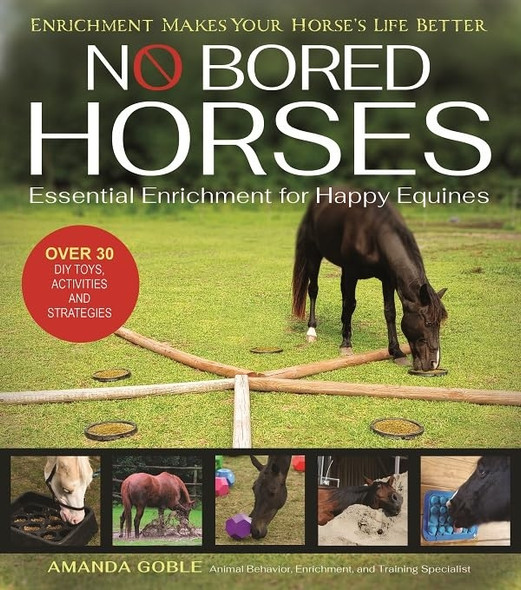 No Bored Horses: Essential Enrichment for Happy Equines