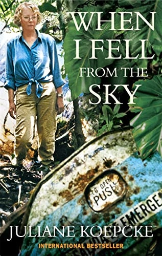 When I Fell From the Sky: The True Story of One Woman's Miraculous Survival