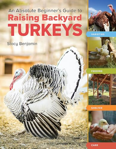 An Absolute Beginner's  Guide to Raising Backyard  Turkeys: Varieties, Feeding,  Shelter, Care