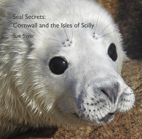 Seal Secrets: Cornwall and  the Isles of Scilly  (Pocket Cornwall)