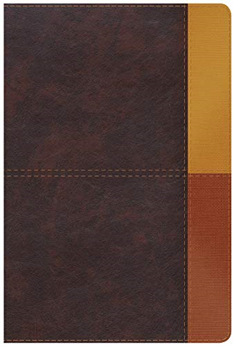 RVR 1960 Biblia de Estudio Arcoiris, gris pizarra/oliva sími