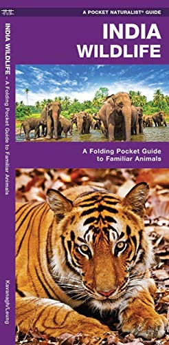 India Wildlife: A Folding Pocket Guide to Familiar Animals (Pocket Naturalist Guide Series)