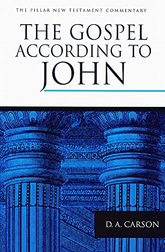 Gospel According to John: an Introduction and Commentary