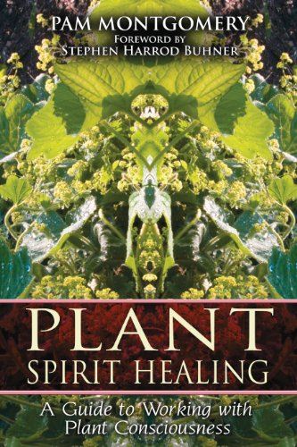 Plant Spirit Healing: A Guide to Working with Plant Consciousness