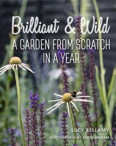 Brilliant and Wild: A Garden from Scratch in a Year (Hardback)