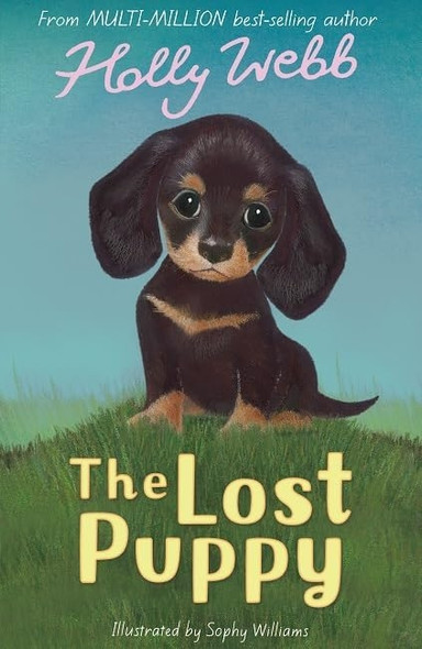 The Lost Puppy