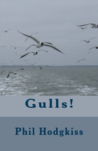 Gulls!