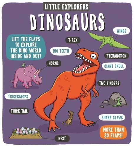 Little Explorers Dinosaurs - Little Explorers