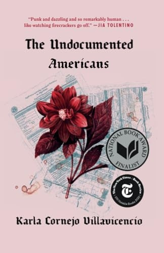 The Undocumented Americans