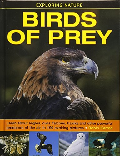 Birds of Prey (Exploring Nature)