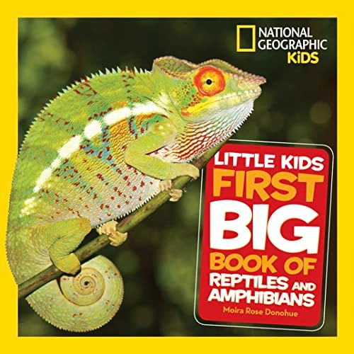 Little Kids First Big Book of Reptiles and Amphibians - Little Kids First Big Books