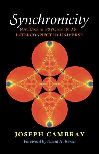 Synchronicity: Nature and Psyche in an Interconnected Universe (Carolyn and Ernest Fay Series in Analytical Psychology)