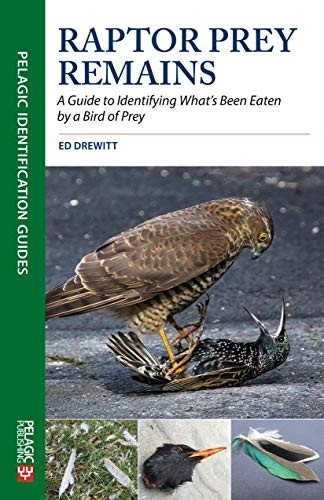 Raptor Prey Remains: A Guide to Identifying What's Been Eaten by a Bird of Prey (Pelagic Identification Guides)