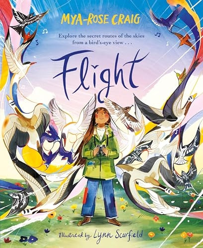 Flight: Explore the secret routes of the skies from a bird's-eye view...