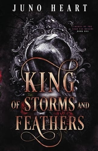 King of Storms and Feathers: A Fae Fantasy Bully Romance