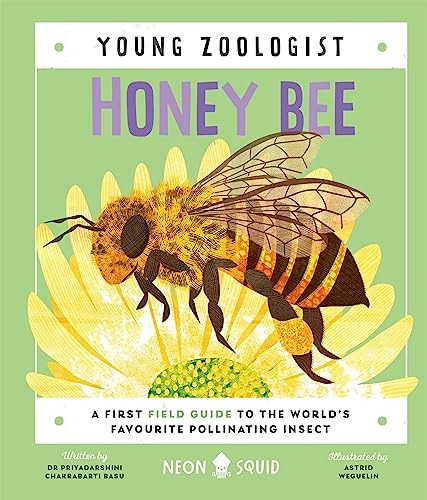 Honey Bee (Young Zoologist): A First Field Guide to the World's Favourite Pollinating Insect (Young Zoologist)