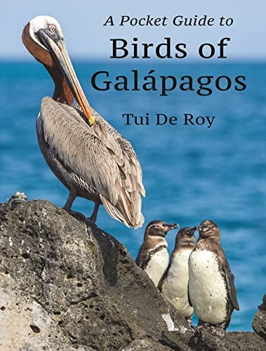 A Pocket Guide to Birds of Galàpagos