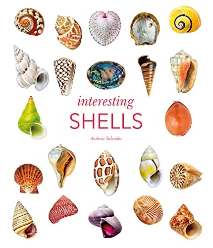 INTERESTING SHELLS